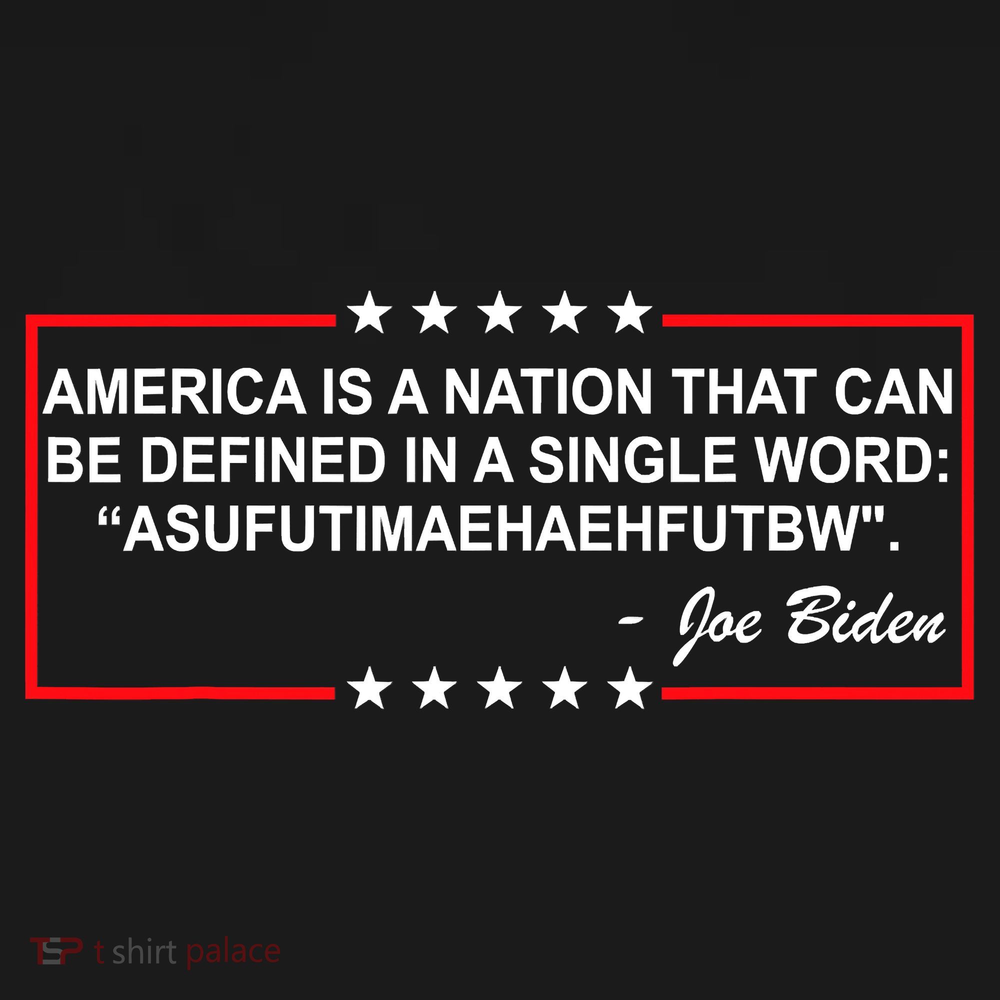 America Is A Nation That Can Be Defined In A Single Word Funny Joe Biden Quote T-Shirt