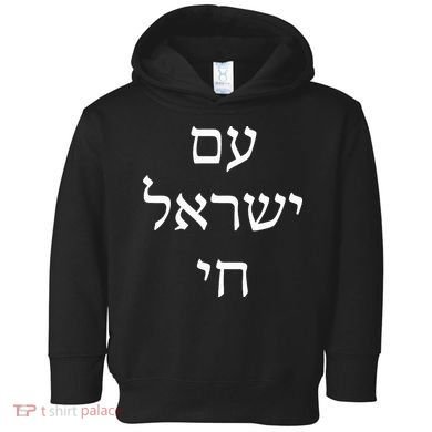 Am Israel Chai Jewish Pride Support Israel Hebrew Jerusalem  Toddler Hoodie