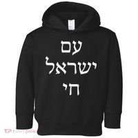 Am Israel Chai Jewish Pride Support Israel Hebrew Jerusalem  Toddler Hoodie thumb 0