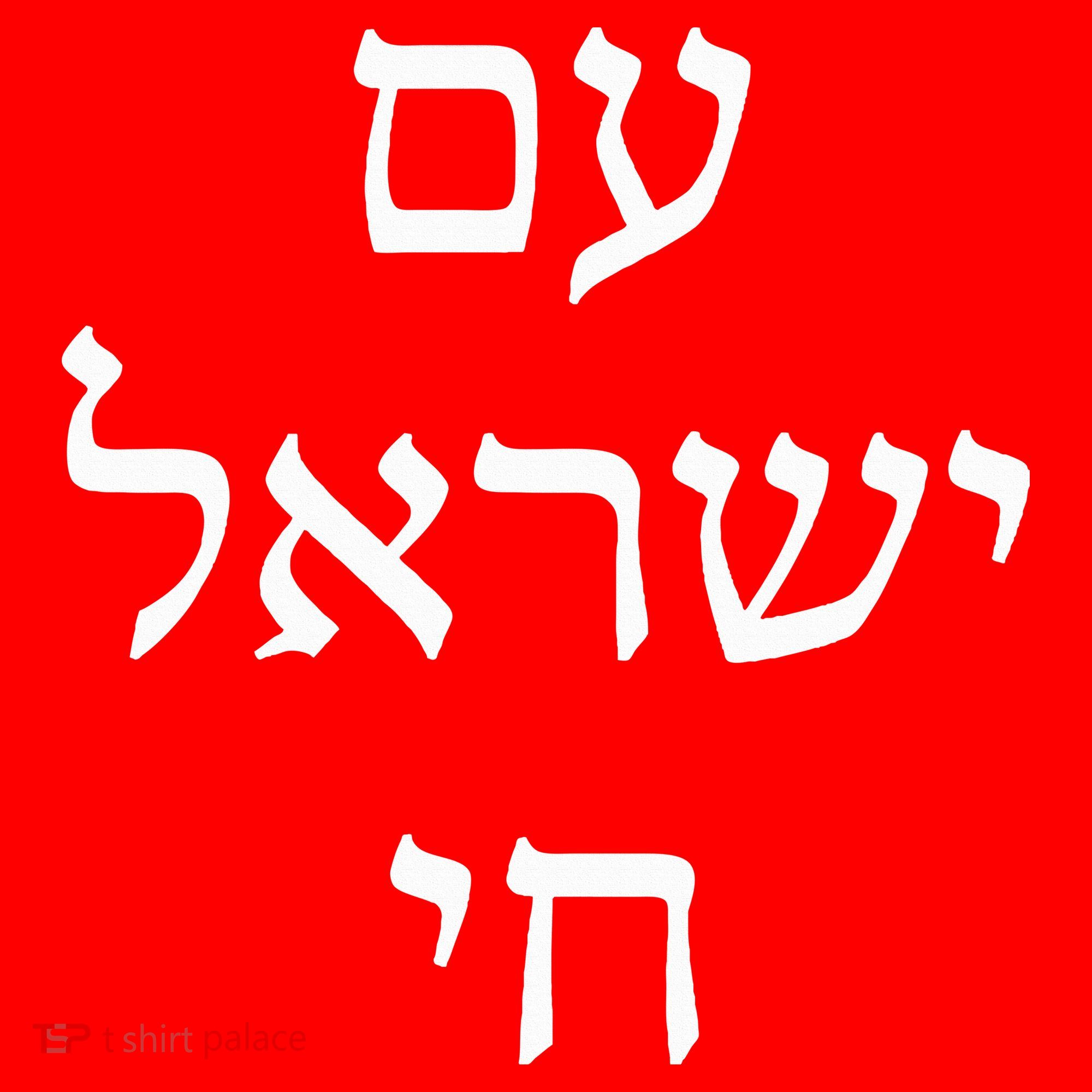 Am Israel Chai Jewish Pride Support Israel Hebrew Jerusalem  Santa Hat