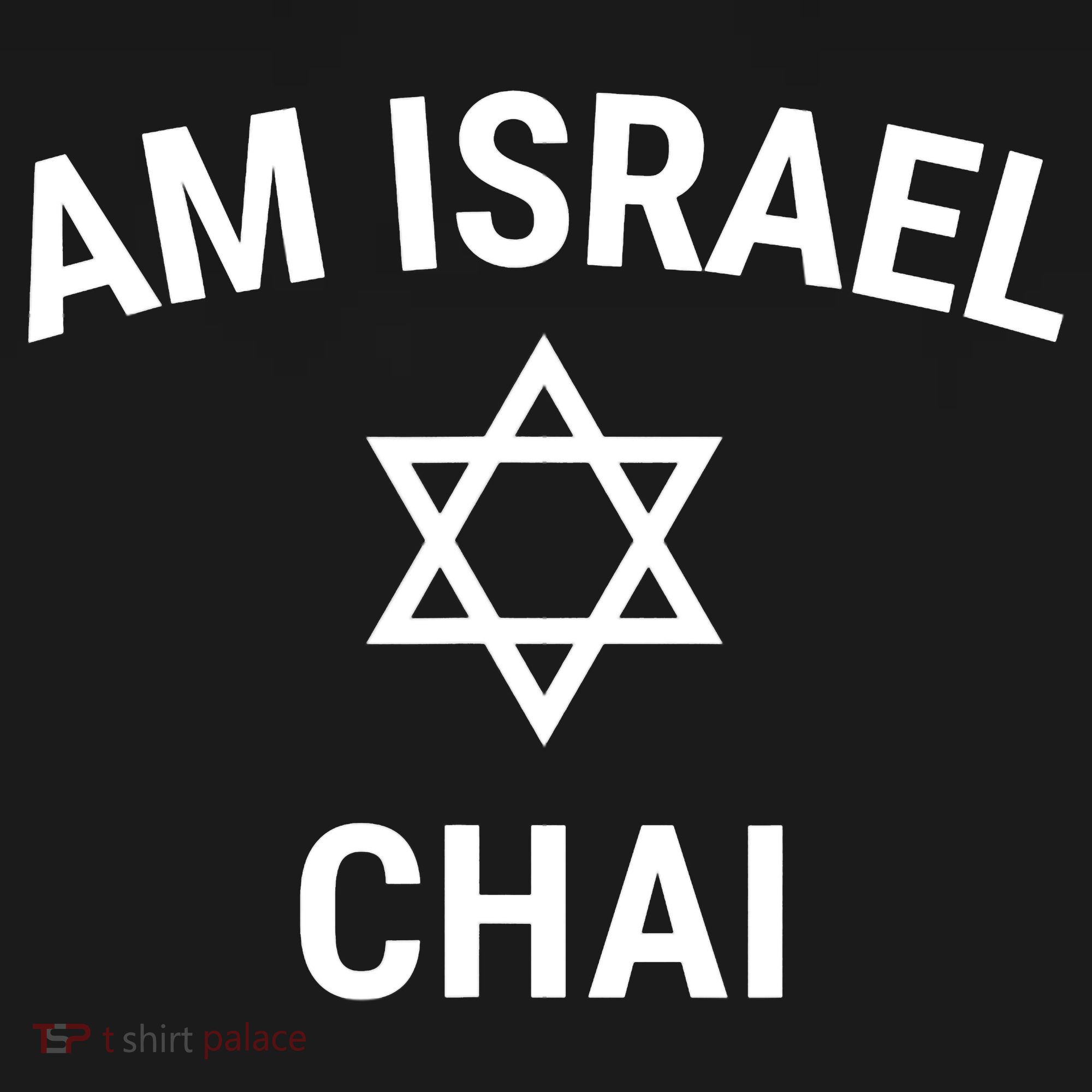 Am Israel Chai Jewish Pride Support Israeli Hebrew Jerusalem Long Sleeve Shirt