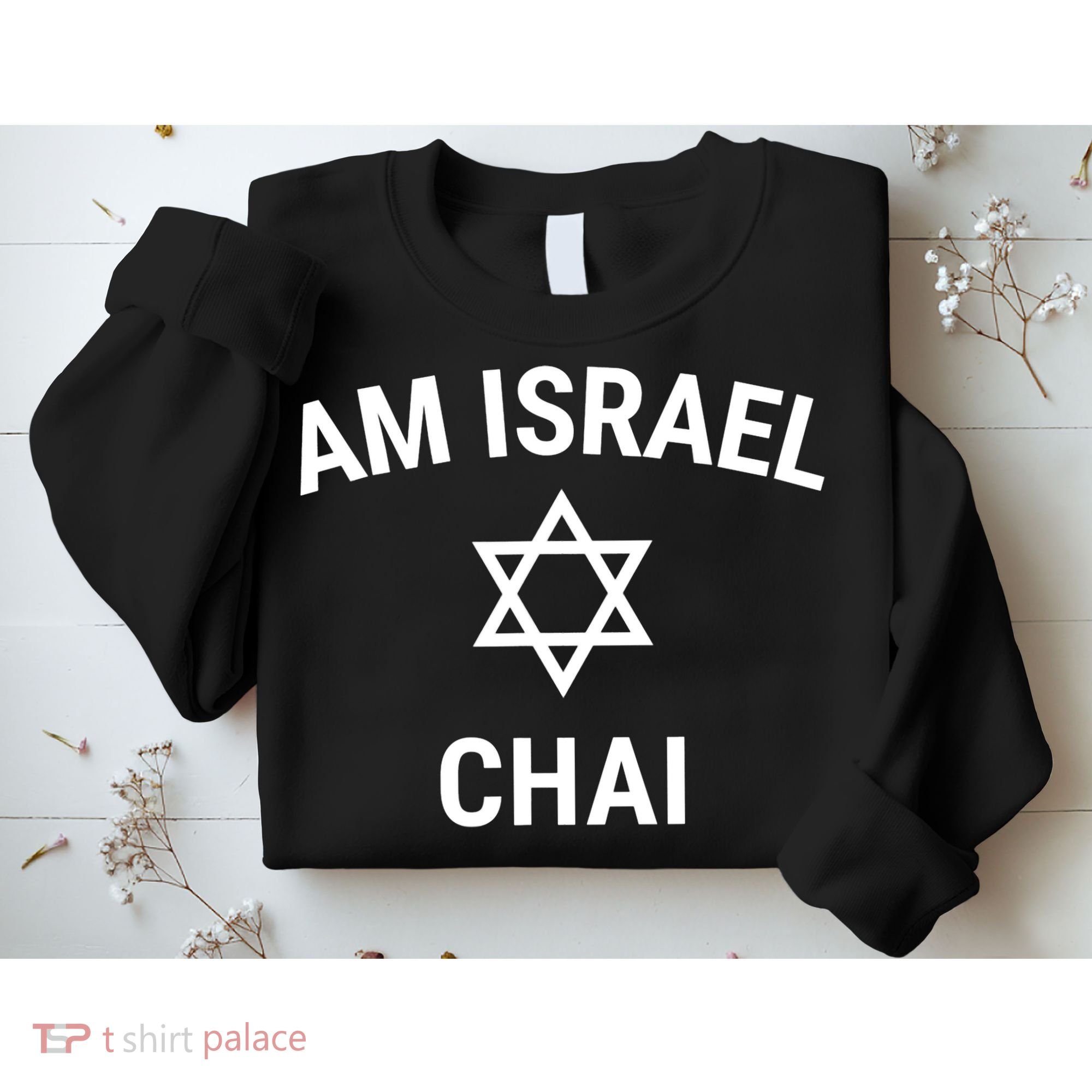 Am Israel Chai Jewish Pride Support Israeli Hebrew Jerusalem Sweatshirt