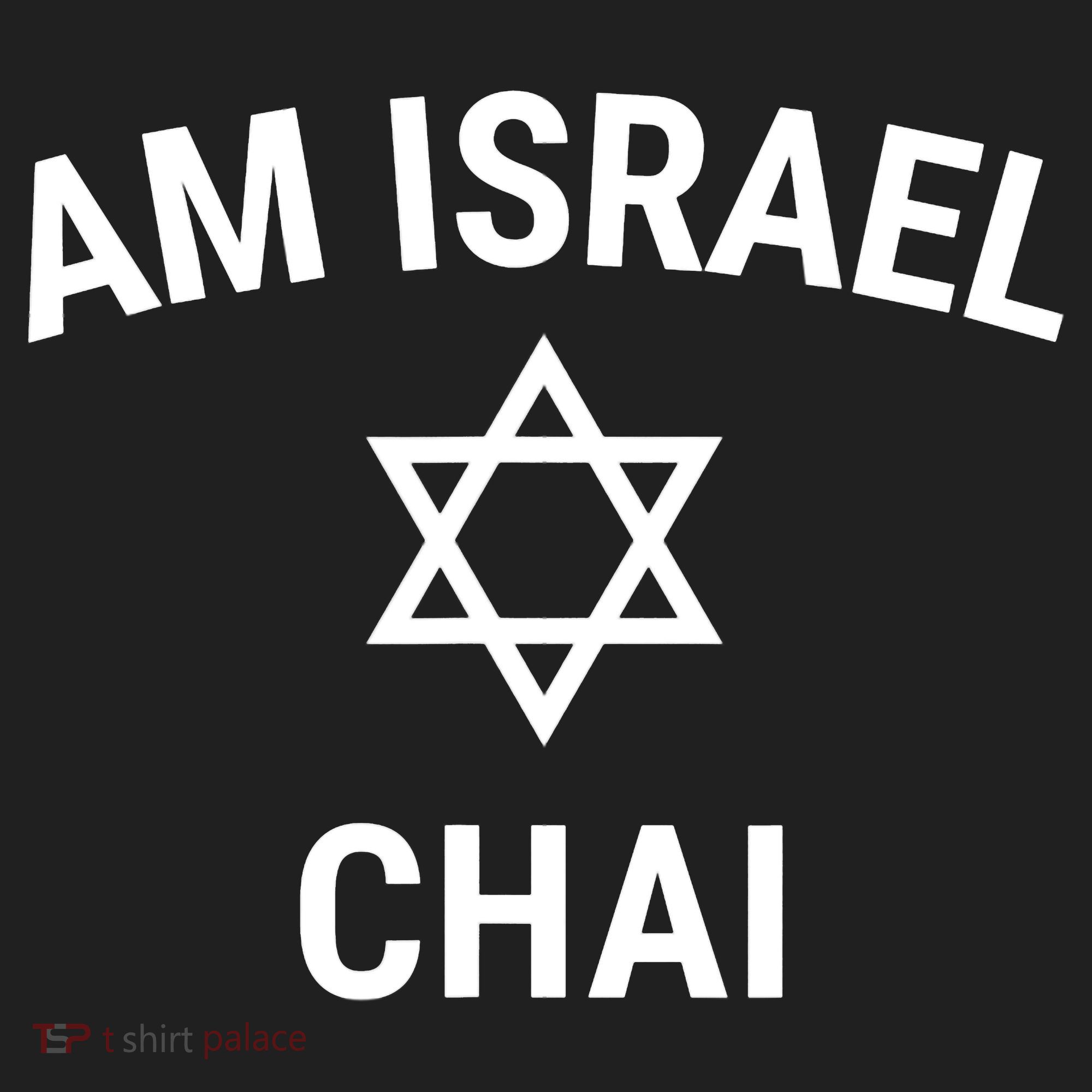 Am Israel Chai Jewish Pride Support Israeli Hebrew Jerusalem Hat