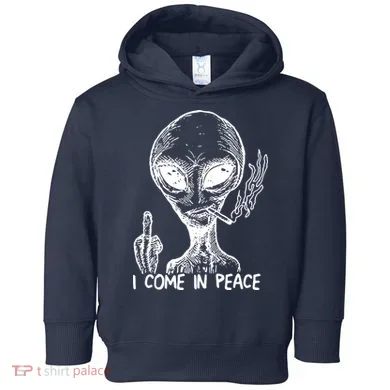 Toddler Hoodie