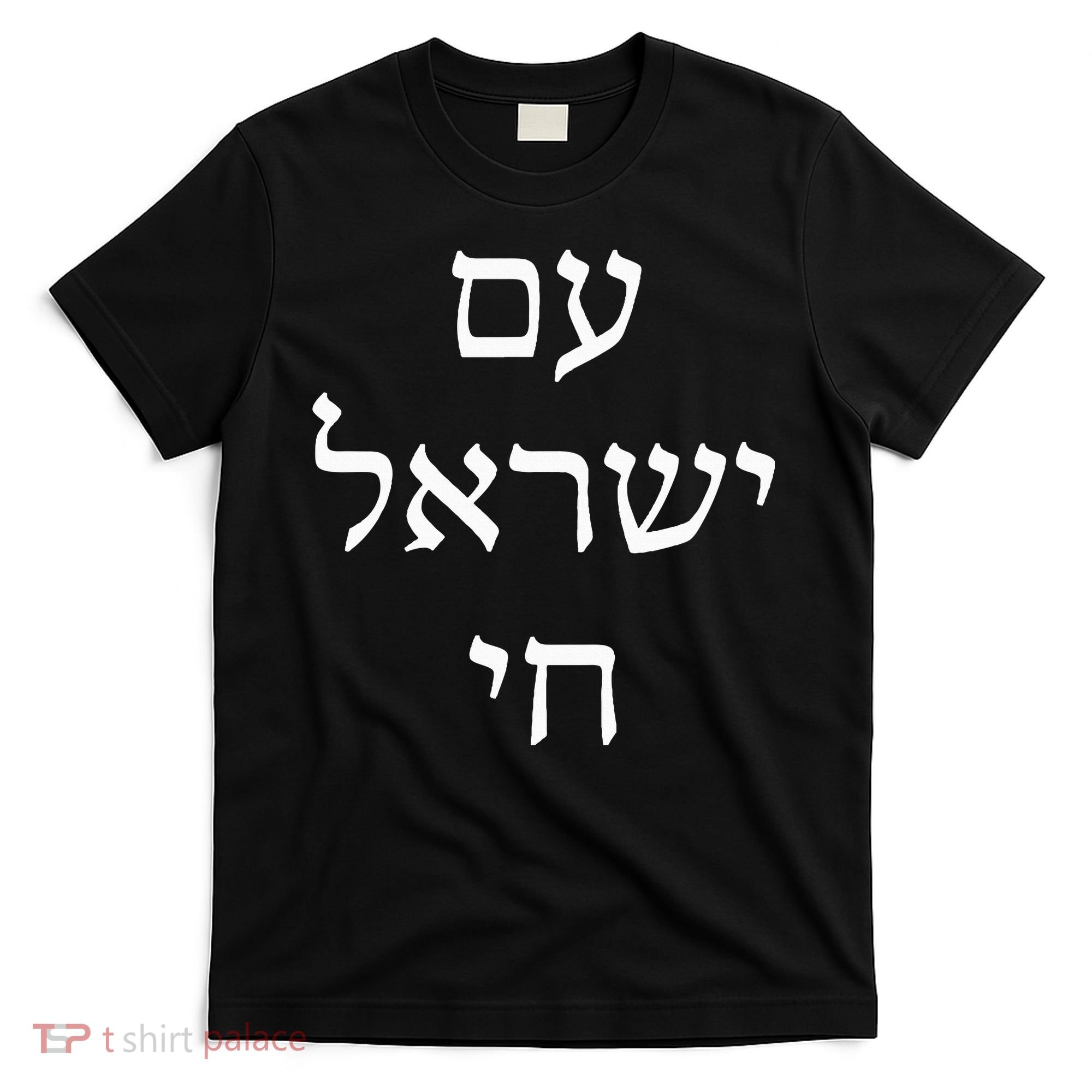 Am Israel Chai Jewish Pride Support Israel Hebrew Jerusalem T-Shirt