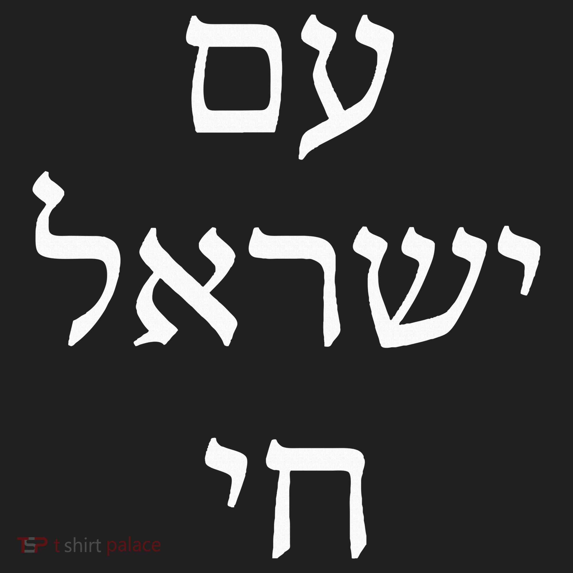 Am Israel Chai Jewish Pride Support Israel Hebrew Jerusalem Hat
