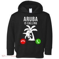 Aruba Is Calling Funny Vacation Souvenir Holiday Aruba Toddler Hoodie thumb 0