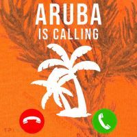 Aruba Is Calling Funny Vacation Souvenir Holiday Aruba Kati Licensed 12" Camo Cuffed Beanie thumb 2