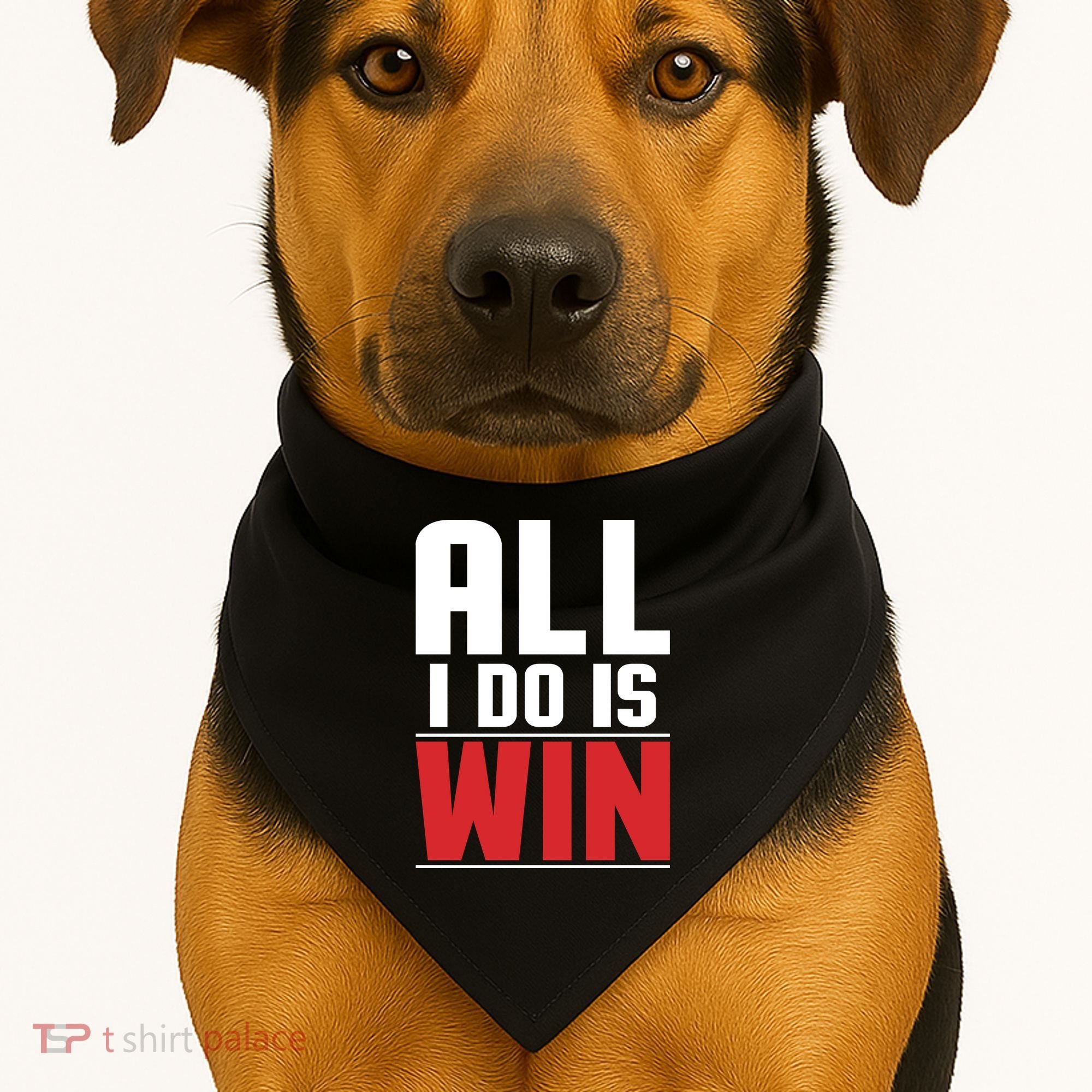 All I Do Is Win USA-Made Doggie Bandana