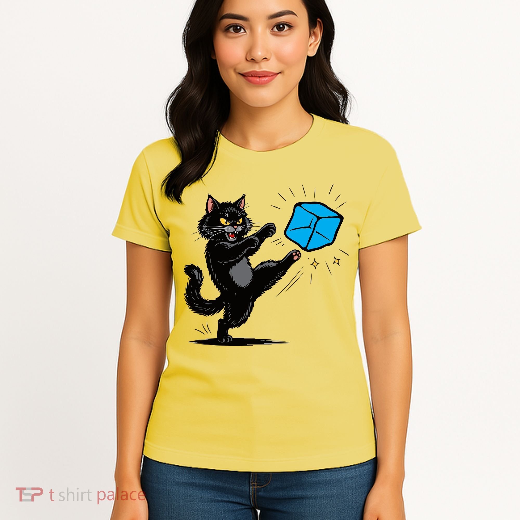 Anti ICE Funny Cat Kicking ICE  Women's T-Shirt