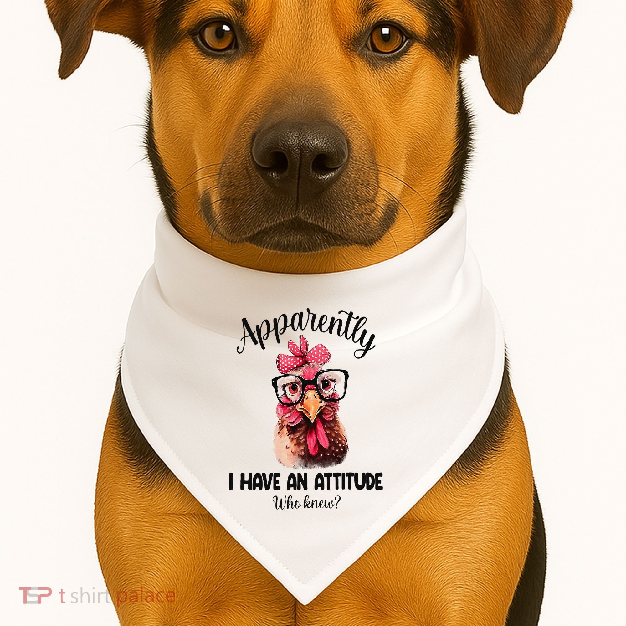 Apparently I Have An Attitude Who Knew Funny Chicken USA-Made Doggie Bandana