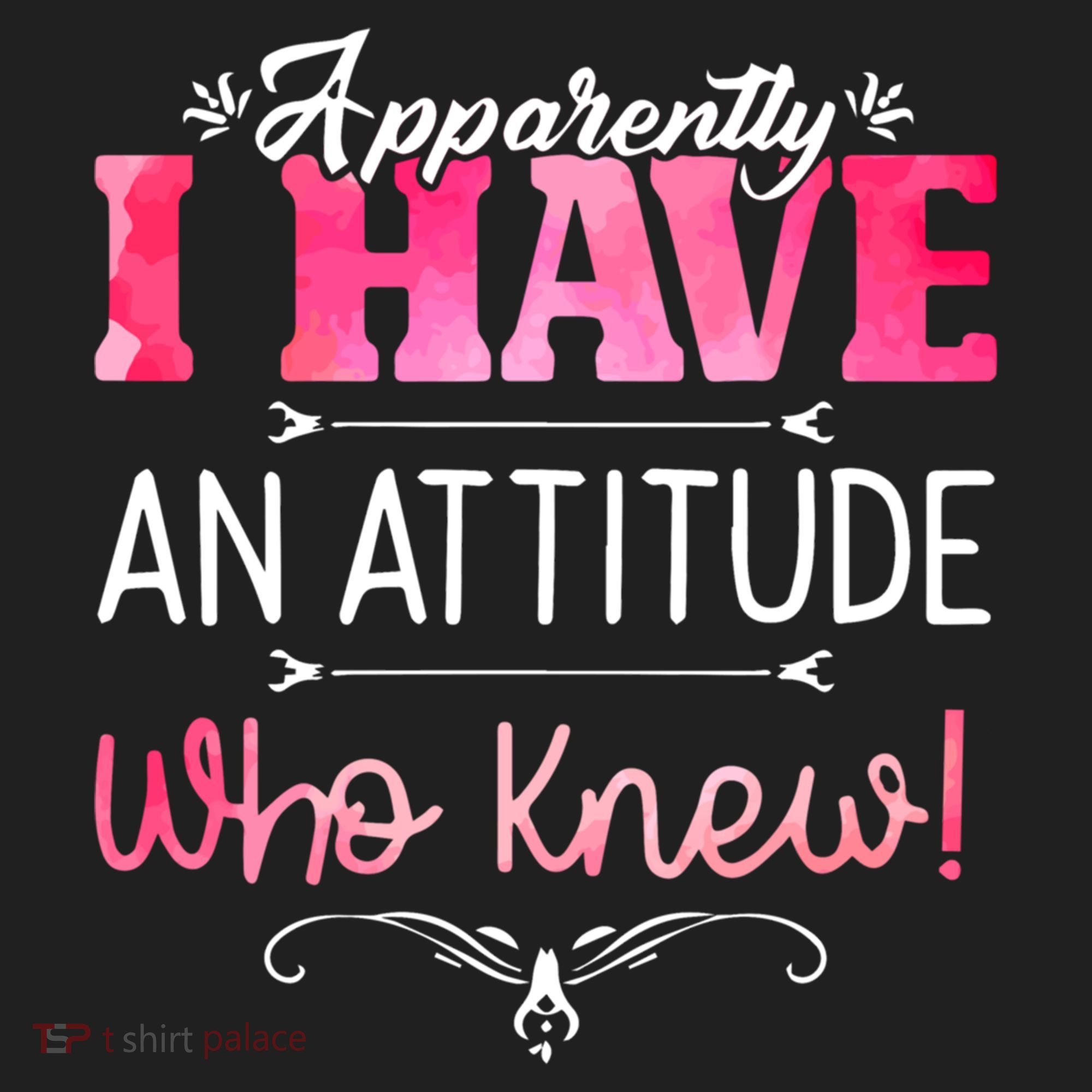 Apparently I Have An Attitude Who Knew Funny Sarcastic Gift Beanie
