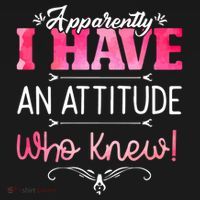 Apparently I Have An Attitude Who Knew Funny Sarcastic Gift Women's Hoodie thumb 2