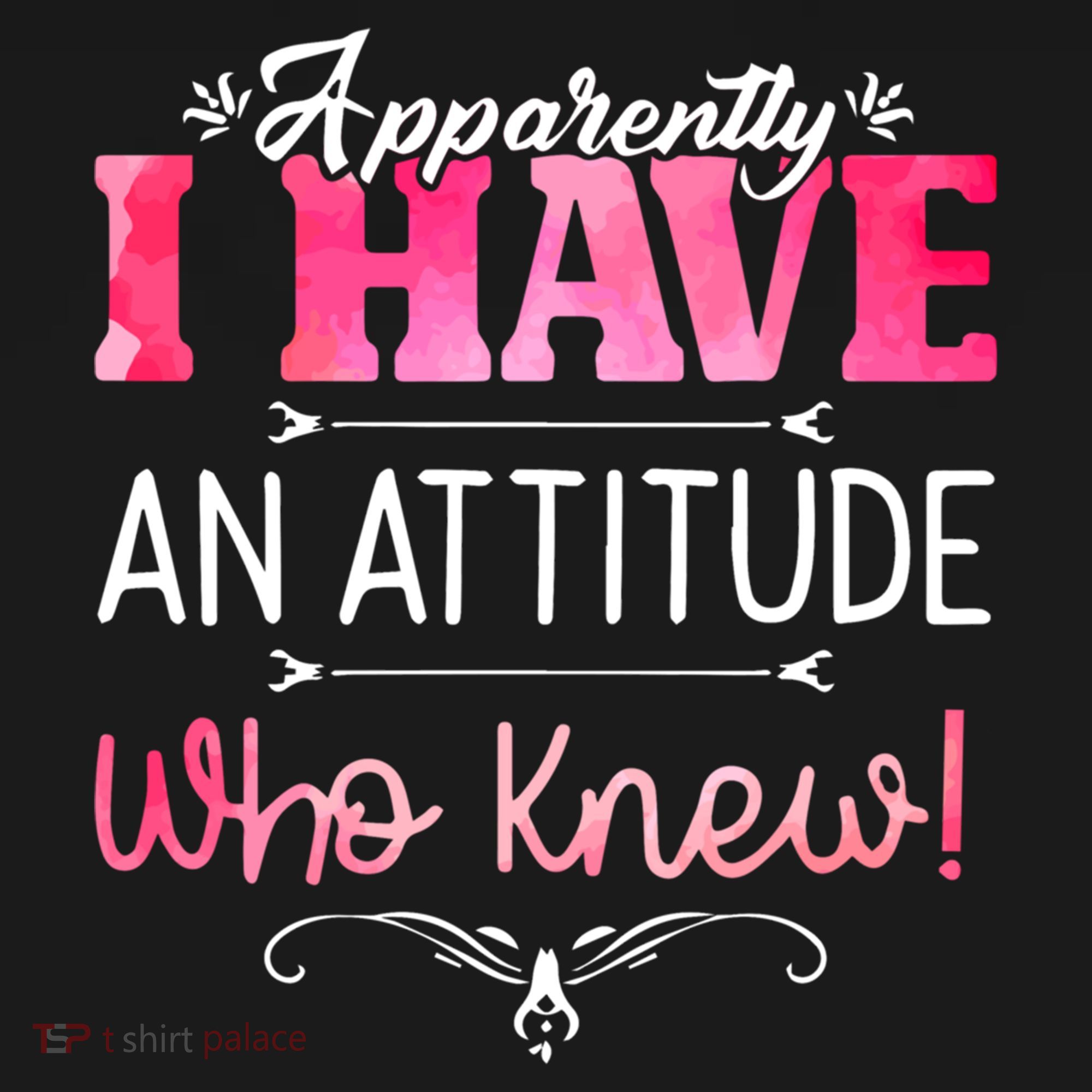 Apparently I Have An Attitude Who Knew Funny Sarcastic Gift Women's Hoodie