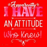 Apparently I Have An Attitude Who Knew Funny Sarcastic Gift Santa Hat thumb 1