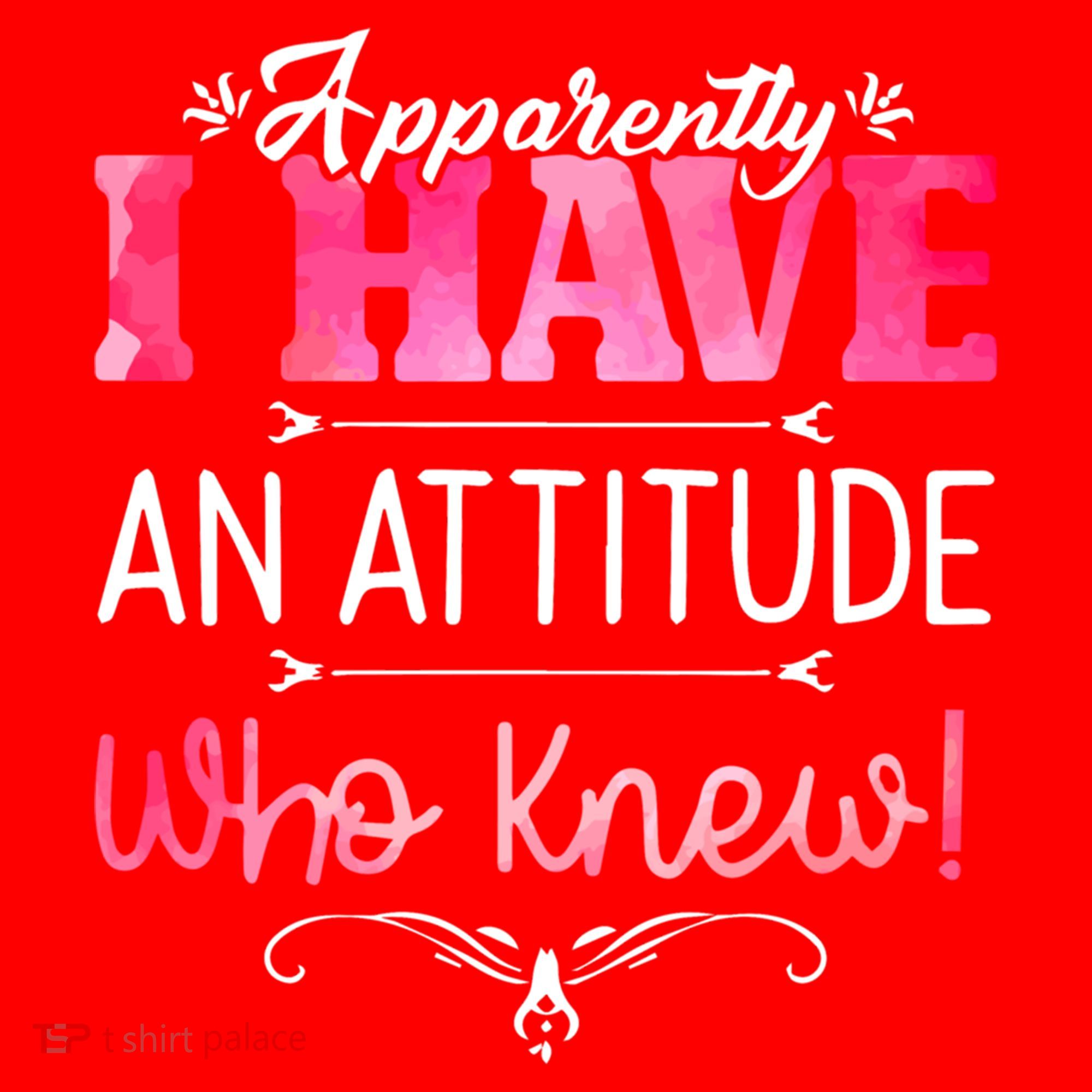 Apparently I Have An Attitude Who Knew Funny Sarcastic Gift Santa Hat