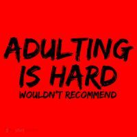 Adulting Is Hard Wouldnt Recommend Funny Sarcastic Sayings Santa Hat thumb 1