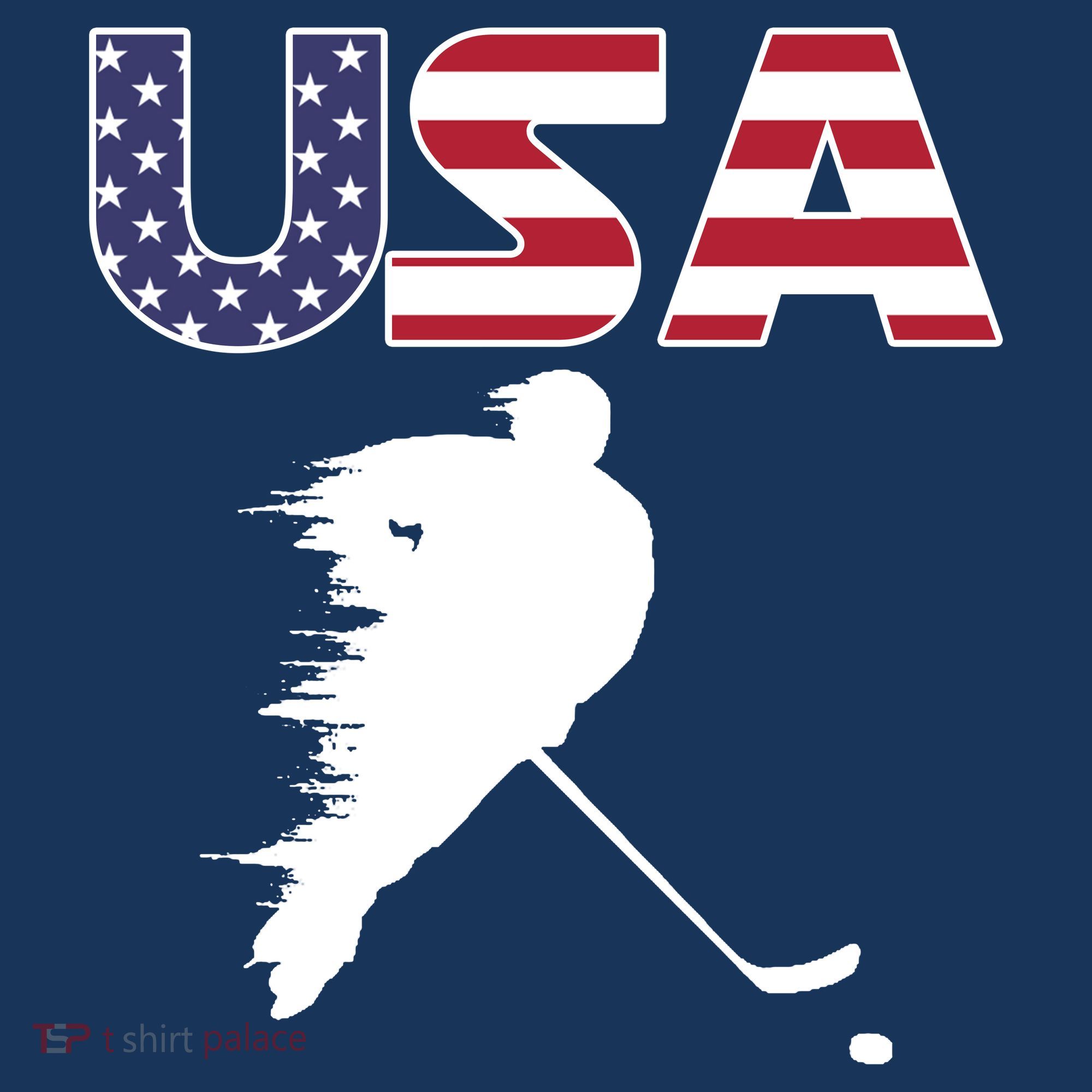 America Ice Hockey USA Flag Women's Hoodie
