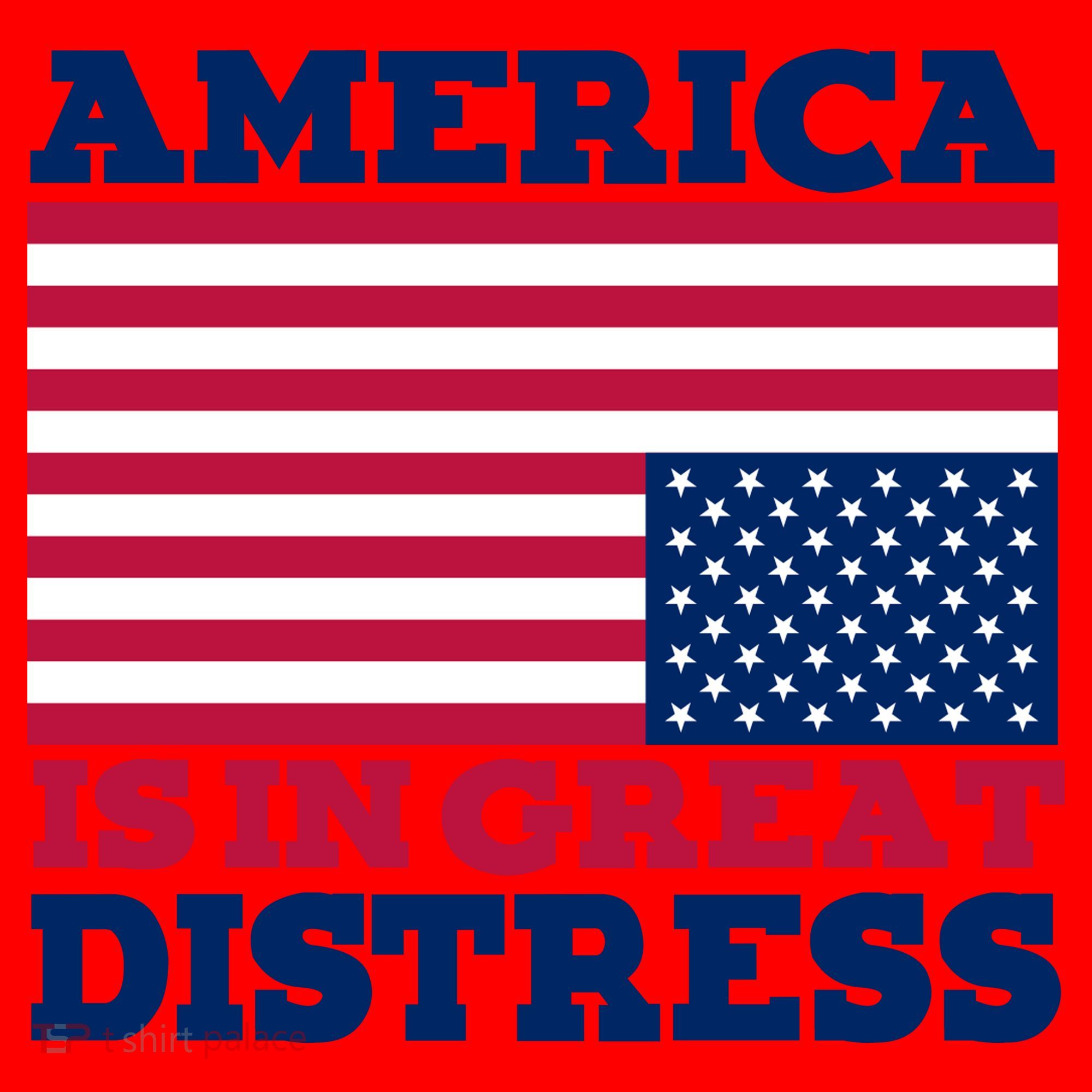 America Is In Great Distress Upside Down Flag Santa Hat