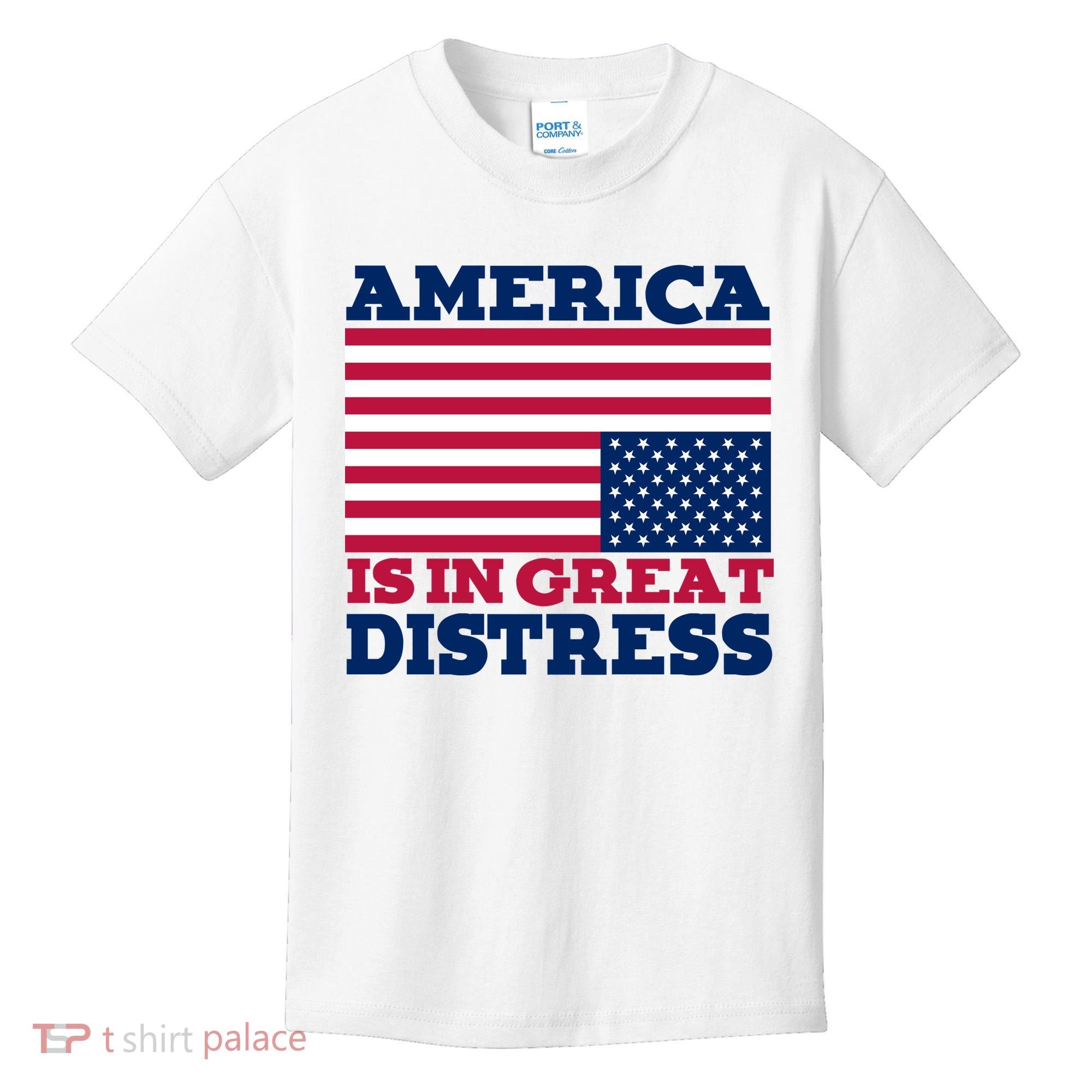 America Is In Great Distress Upside Down Flag Kids T-Shirt