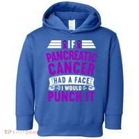Awareness I If Pancreatic Cancer Had A Face I Would Punch It Gift Toddler Hoodie thumb 0