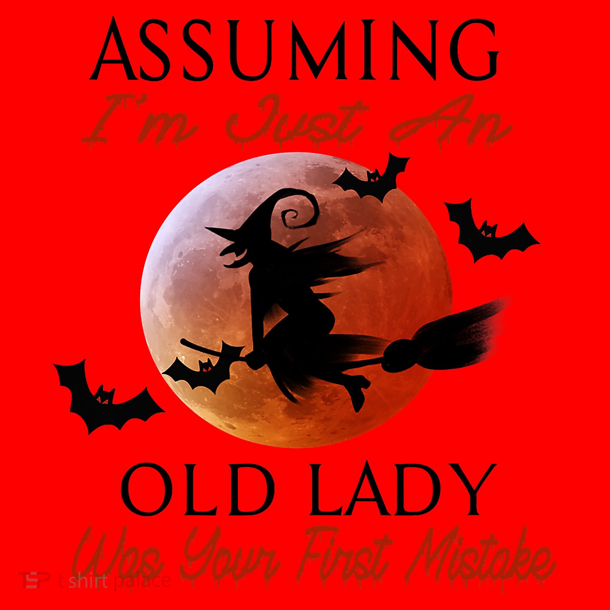 Assuming I'm Just An Old Lady Was Your First Mistake Halloween Witch Funny Quote Santa Hat