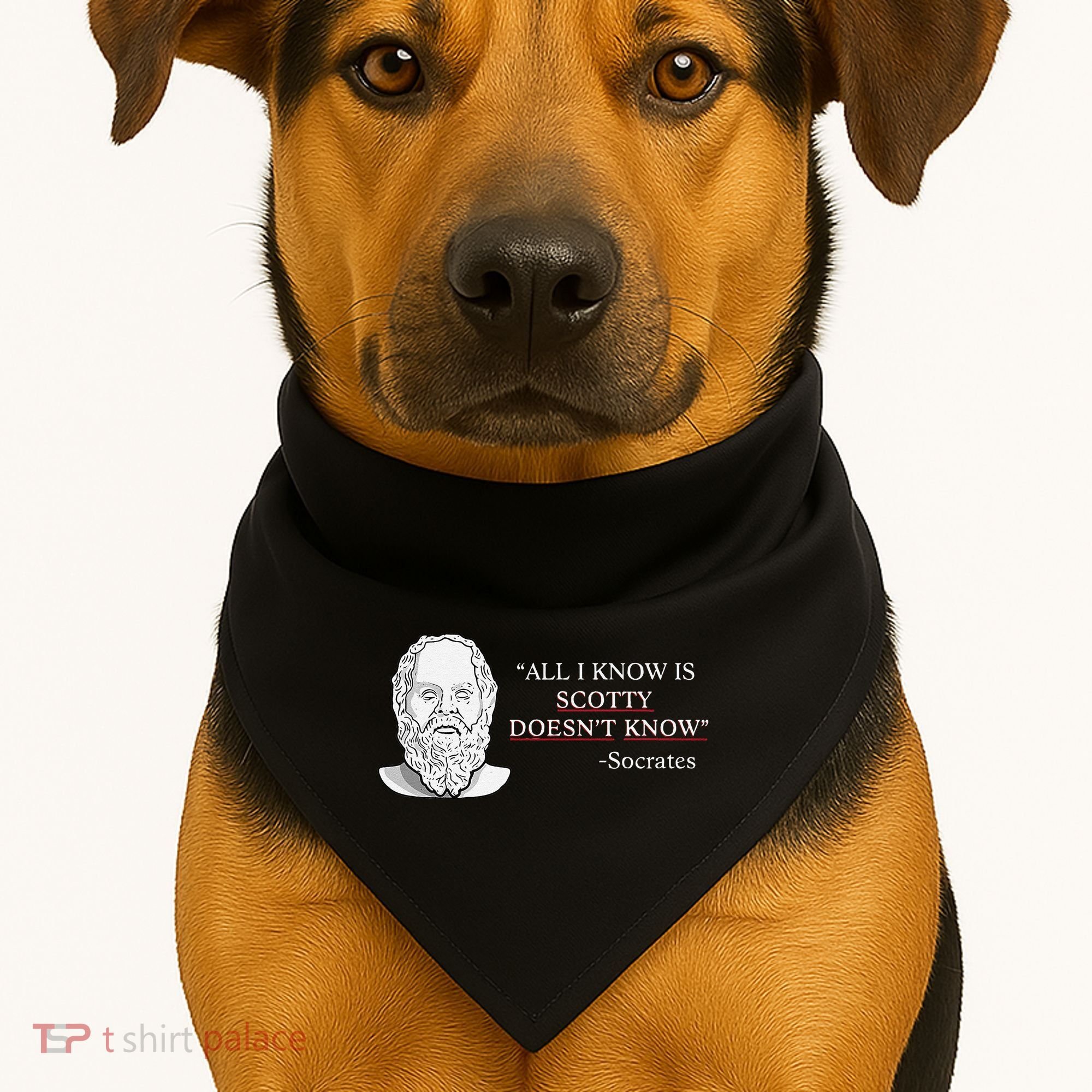 All I Know Is Scotty Doesn’T Know Socrates USA-Made Doggie Bandana