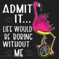 Admit It Life Would Be Boring Without Me Funny Bike Flamingo Women's Sweatshirt thumb 2