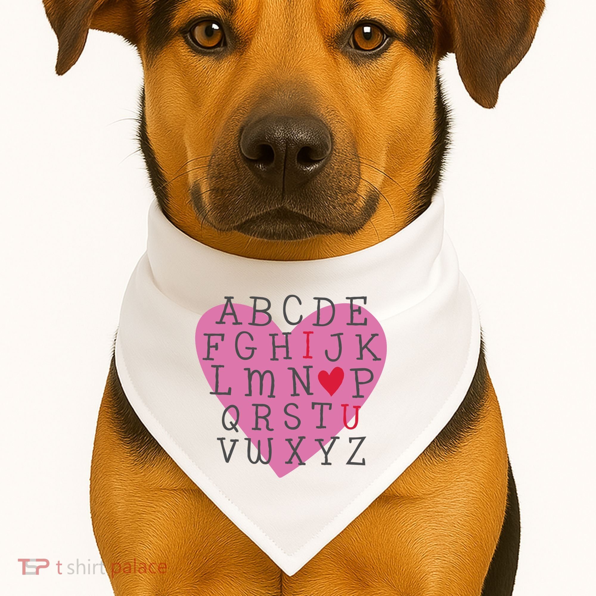 ABC I Love You Valentines Day Heart Gift USA-Made Doggie Bandana