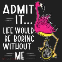 Admit It Life Would Be Boring Without Me Funny Bike Flamingo Beanie thumb 2