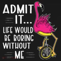 Admit It Life Would Be Boring Without Me Funny Bike Flamingo Mousepad thumb 1