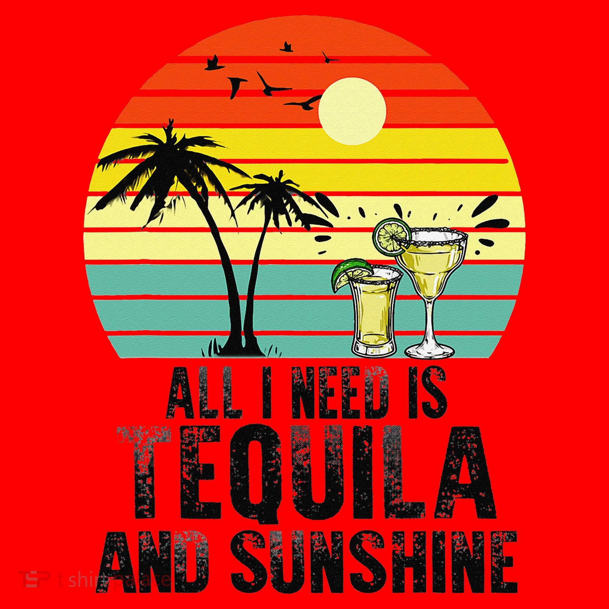All I Need Is Tequila And Sunshine Beach Vacation Summer Santa Hat