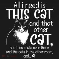 All I Need Is This Cat And That Other Cat And Those Cats Funny Gift Ornament thumb 1