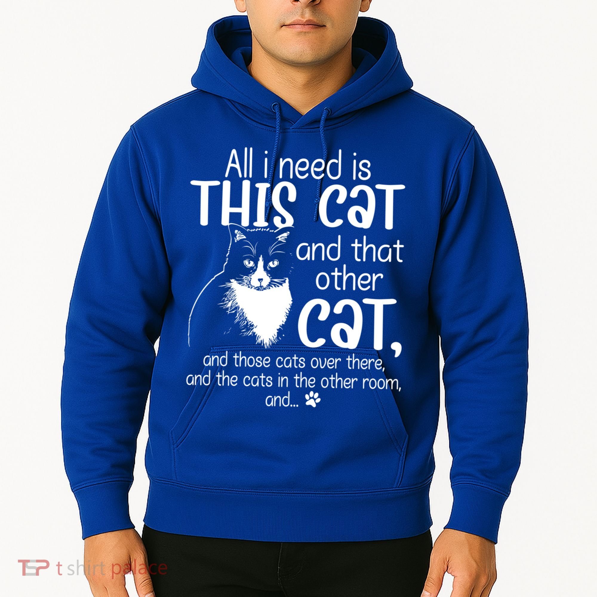 All I Need Is This Cat And That Other Cat And Those Cats Funny Gift Hoodie