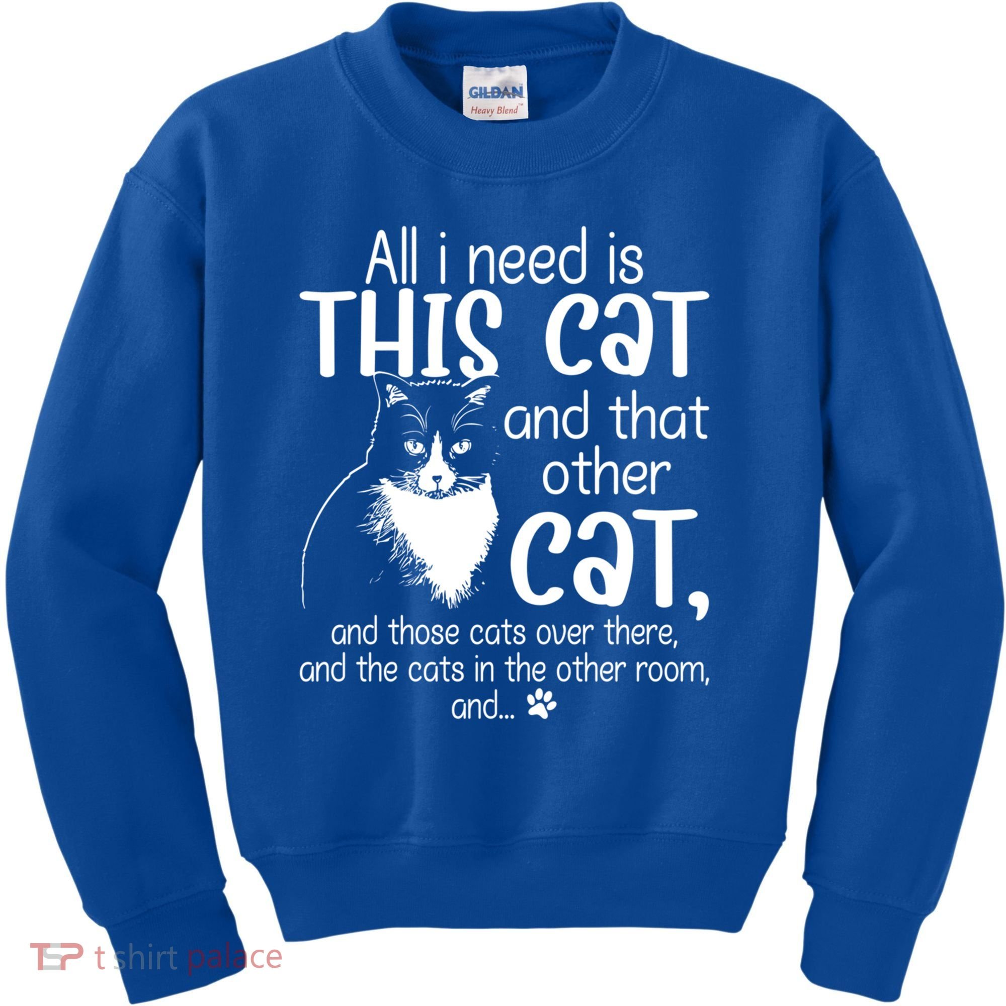All I Need Is This Cat And That Other Cat And Those Cats Funny Gift Kids Sweatshirt
