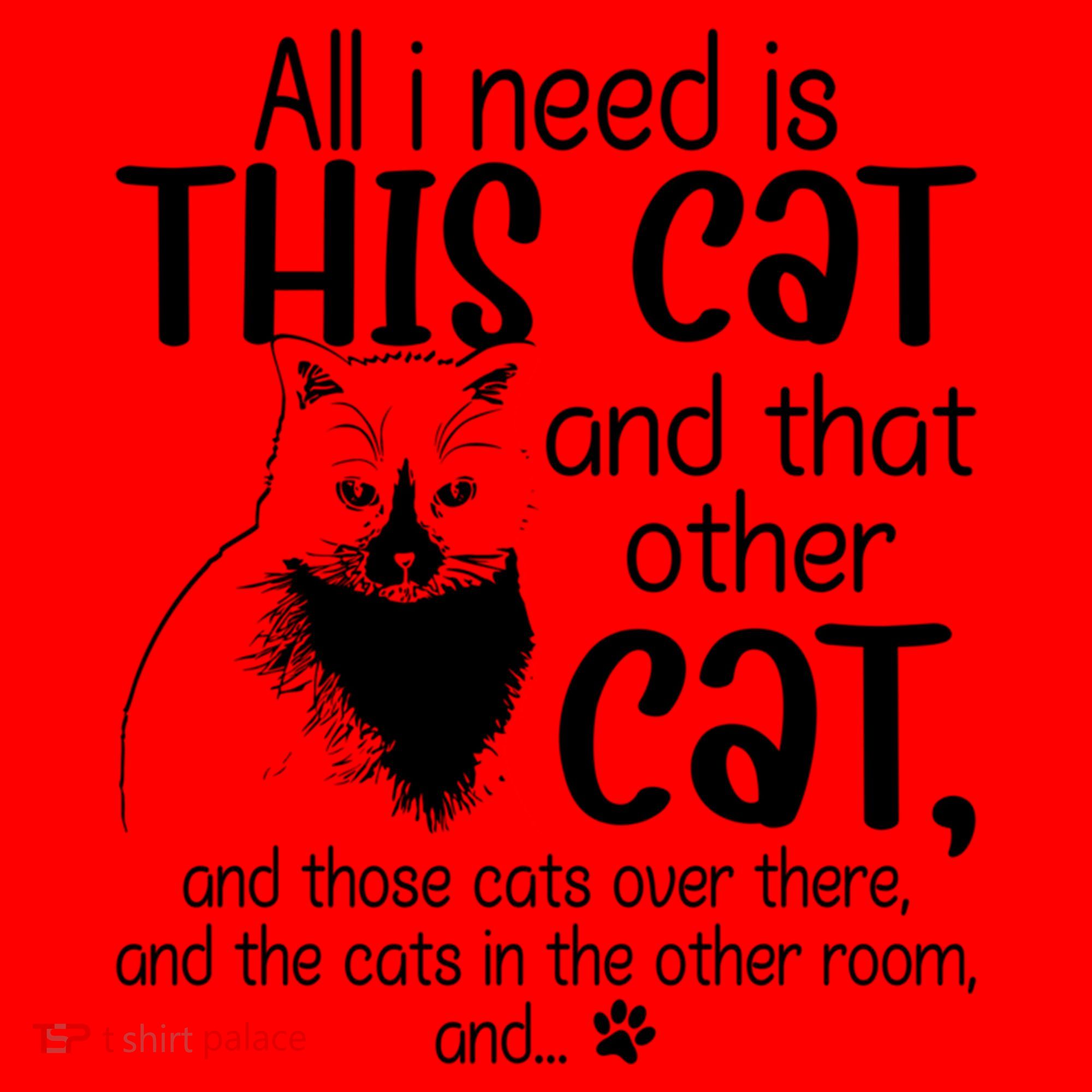 All I Need Is This Cat And That Other Cat And Those Cats Funny Gift Santa Hat