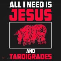 All I Need Is Jesus And Tardigrades Toddler Hoodie thumb 2