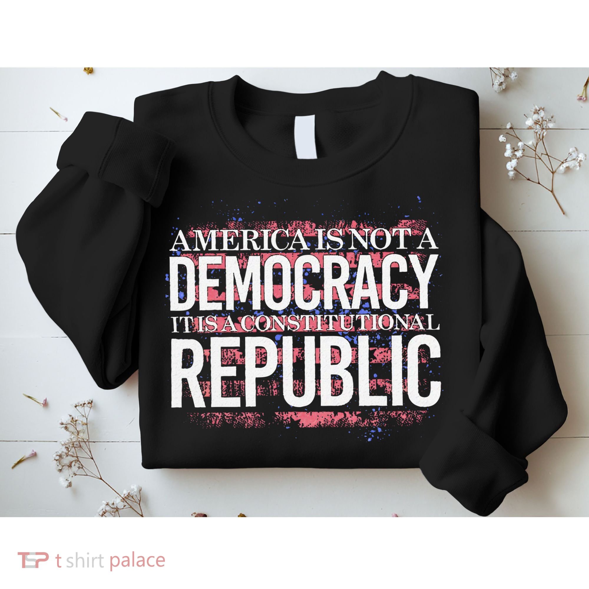 America Is Not A Democracy ItS A Constitutional Republic Sweatshirt