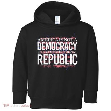 America Is Not A Democracy ItS A Constitutional Republic Toddler Hoodie