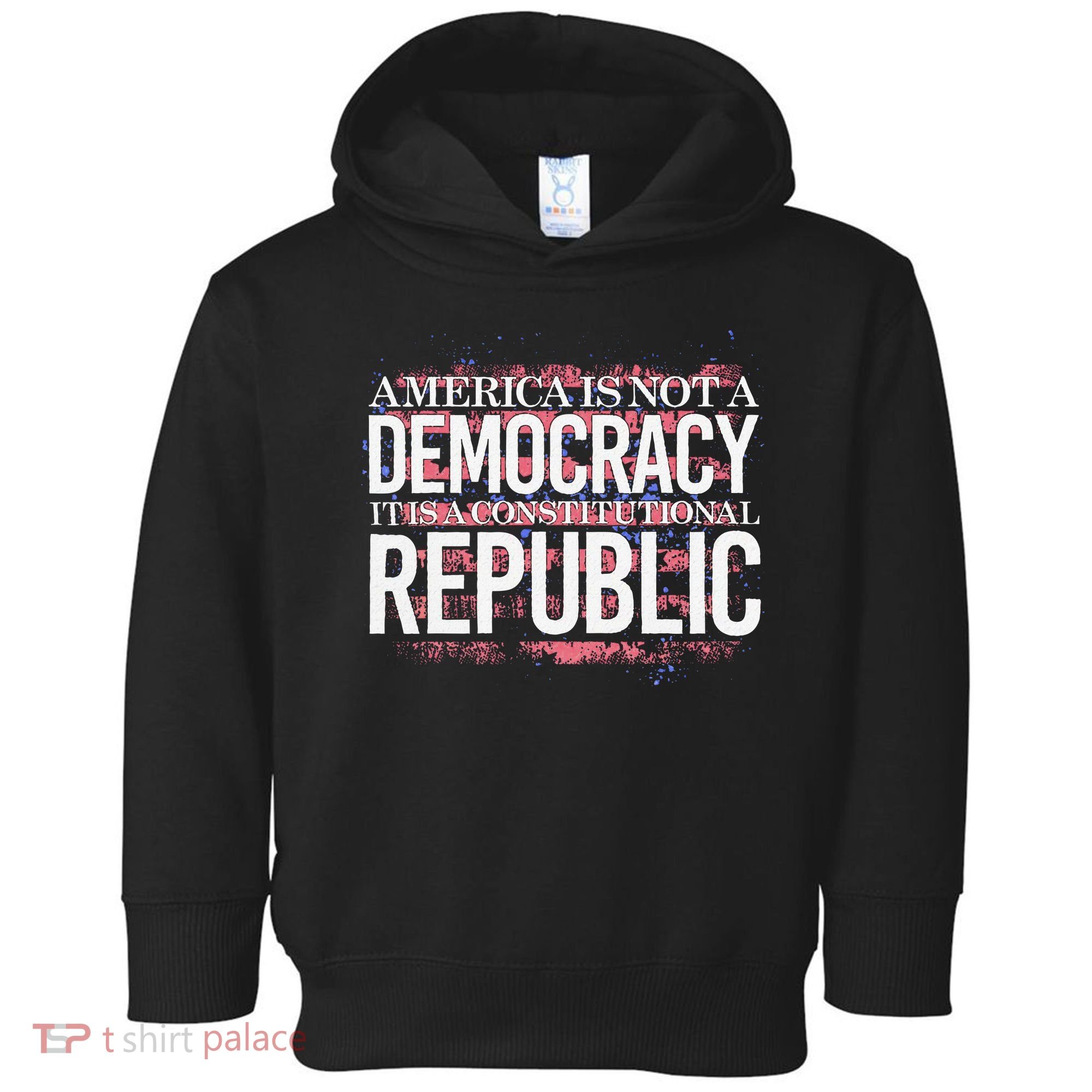 America Is Not A Democracy ItS A Constitutional Republic Toddler Hoodie
