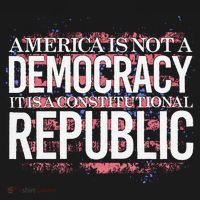 America Is Not A Democracy ItS A Constitutional Republic Toddler Hoodie thumb 2