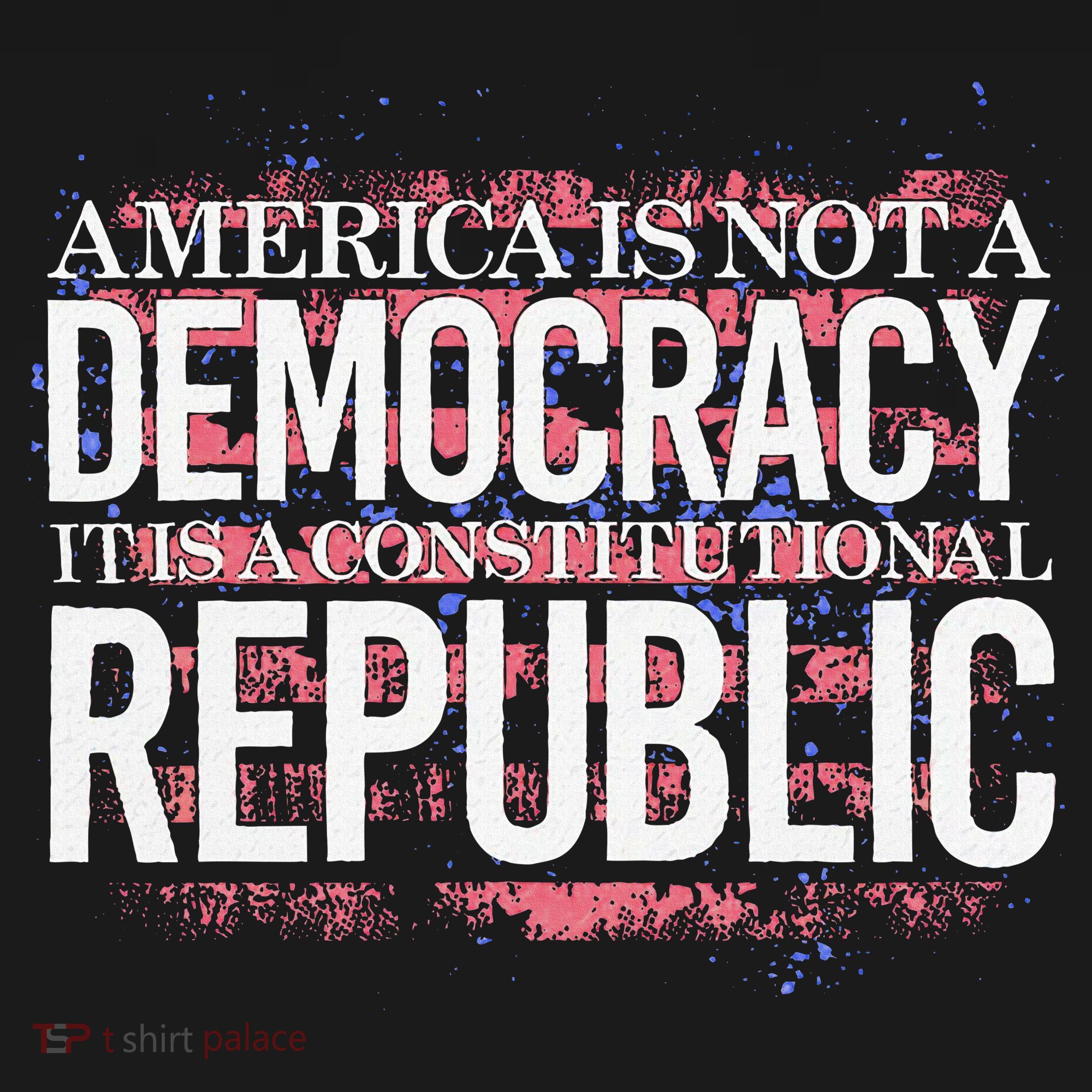 America Is Not A Democracy ItS A Constitutional Republic Kids Sweatshirt