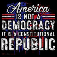 America Is Not A Democracy ItS A Constitutional Republic Coffee Mug thumb 5