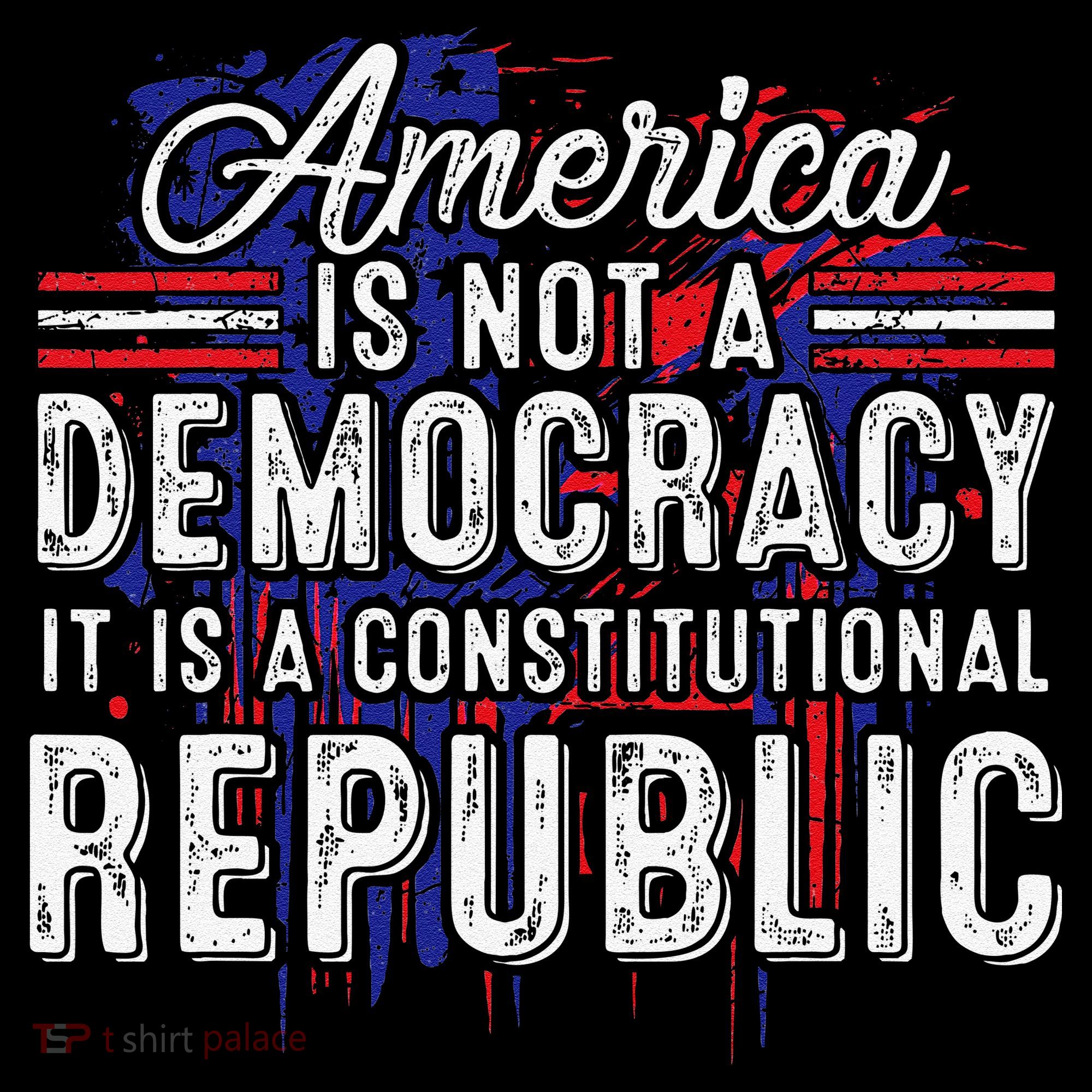 America Is Not A Democracy ItS A Constitutional Republic Coffee Mug