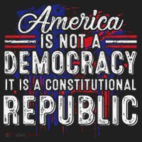 America Is Not A Democracy ItS A Constitutional Republic Tumbler thumb 3