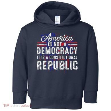 America Is Not A Democracy ItS A Constitutional Republic Toddler Hoodie