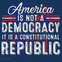 America Is Not A Democracy ItS A Constitutional Republic Toddler Hoodie thumb 2