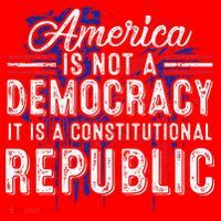 America Is Not A Democracy ItS A Constitutional Republic Santa Hat thumb 1