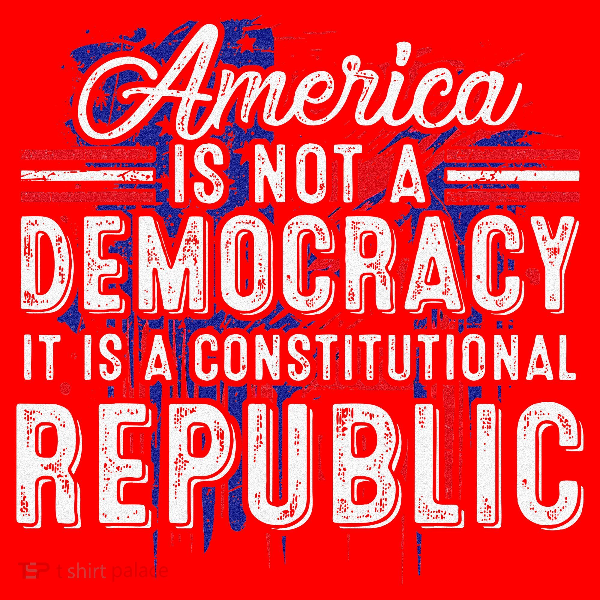 America Is Not A Democracy ItS A Constitutional Republic Santa Hat