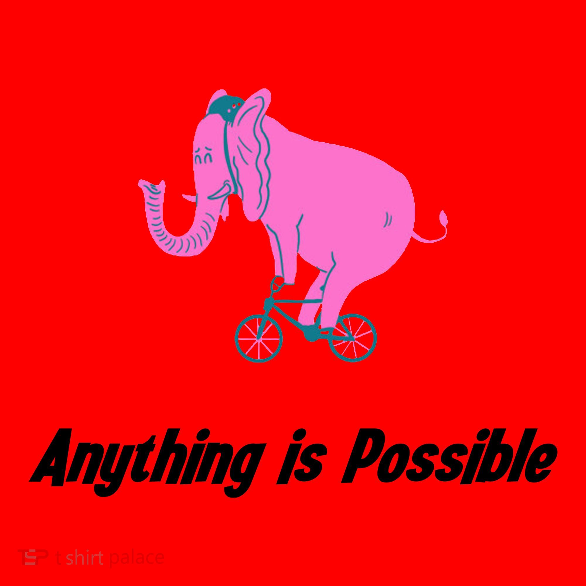 Anything Is Possible Elephant Bicycle Santa Hat